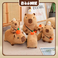 Capybara đội vịt lên đầu