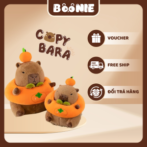 Capybara Phao bơi quả cam