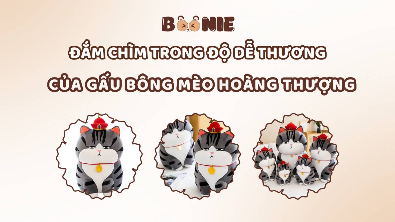 gấu bông mèo hoàng thượng